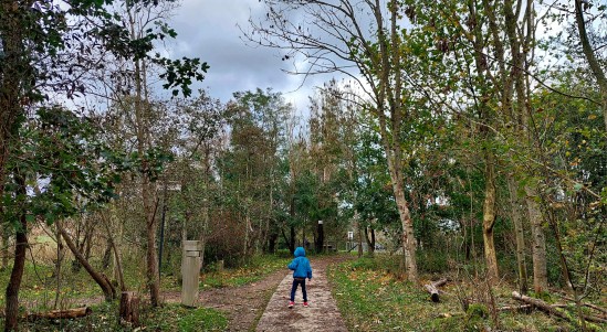 herfstlandschap met Arno (foto: Julie Delodder)